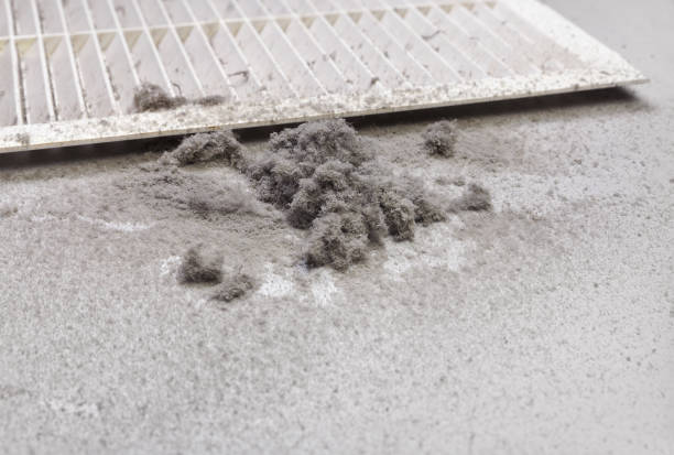Best HVAC Duct Inspection Services  in North Arlington, NJ